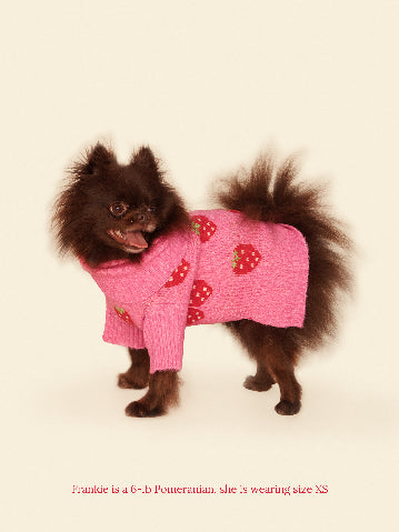 Little Beast Dog Sweater The Strawberry Sweater