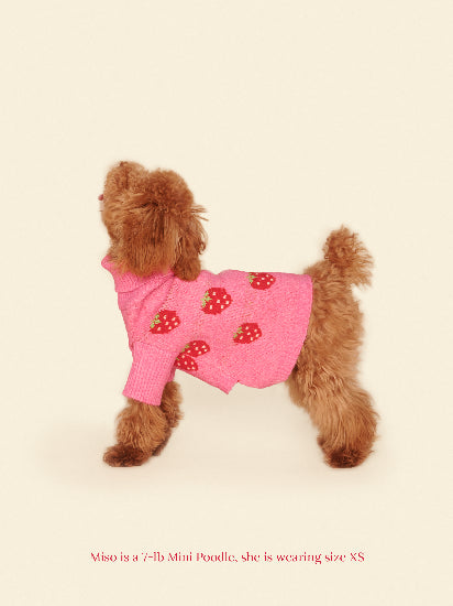 Little Beast Dog Sweater The Strawberry Sweater