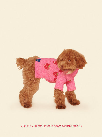 Little Beast Dog Sweater The Strawberry Sweater