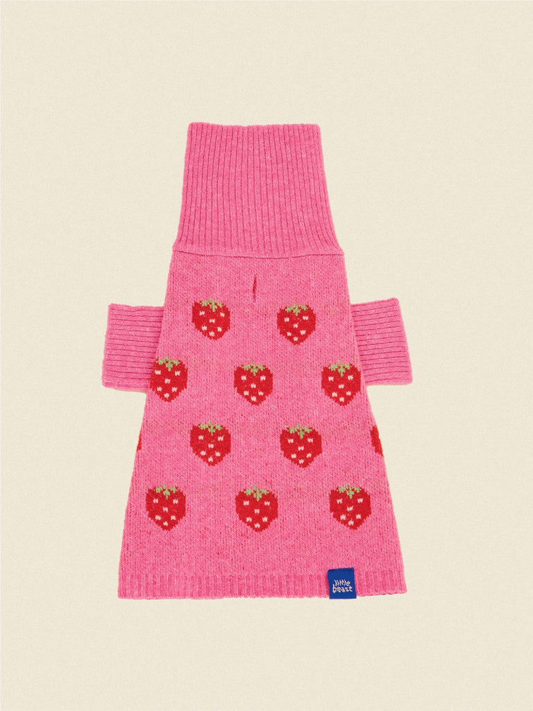 The Strawberry Sweater