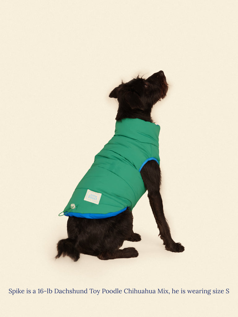 Little Beast Dog Parka The Super Duper Puffer Jacket - Green & Blue