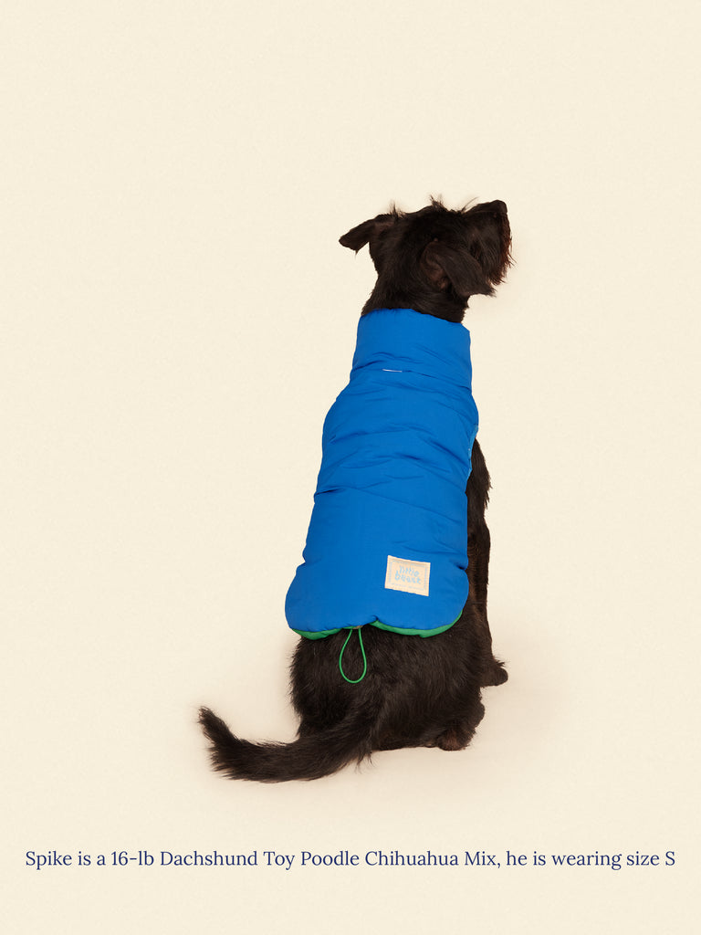 Little Beast Dog Parka The Super Duper Puffer Jacket - Green & Blue