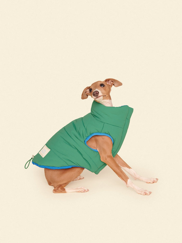 Little Beast Dog Parka The Super Duper Puffer Jacket - Green & Blue