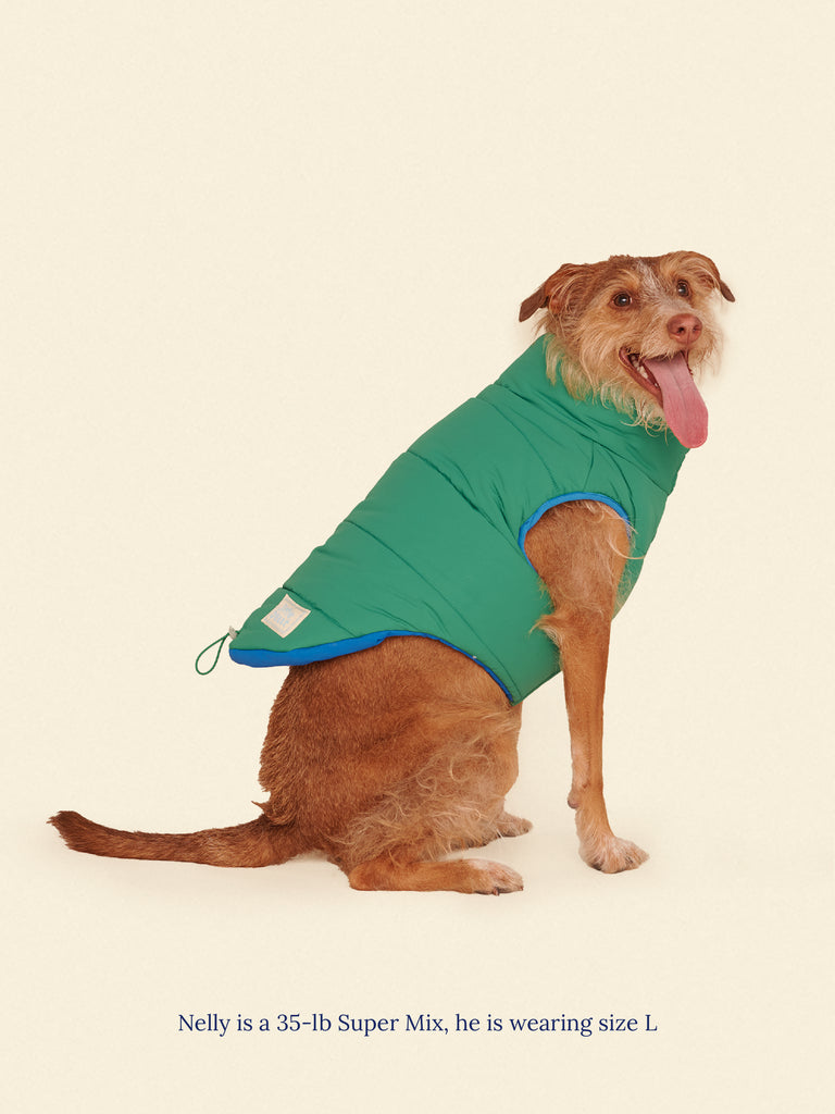 Little Beast Dog Parka The Super Duper Puffer Jacket - Green & Blue