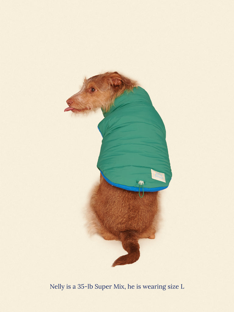 Little Beast Dog Parka The Super Duper Puffer Jacket - Green & Blue