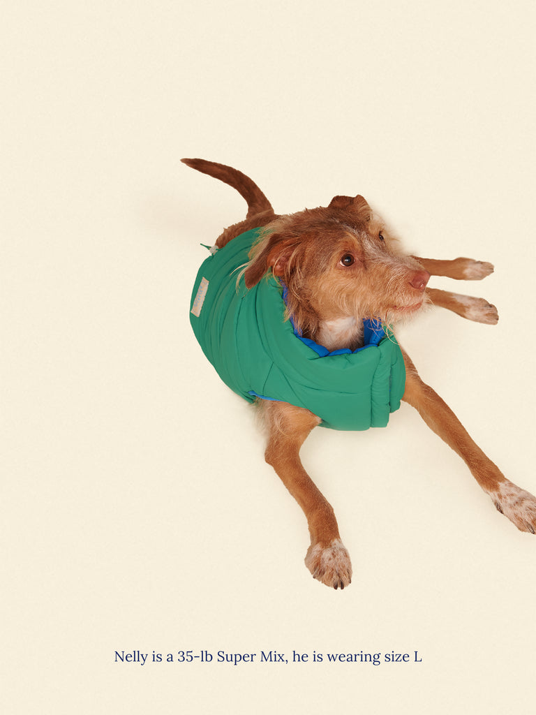 Little Beast Dog Parka The Super Duper Puffer Jacket - Green & Blue