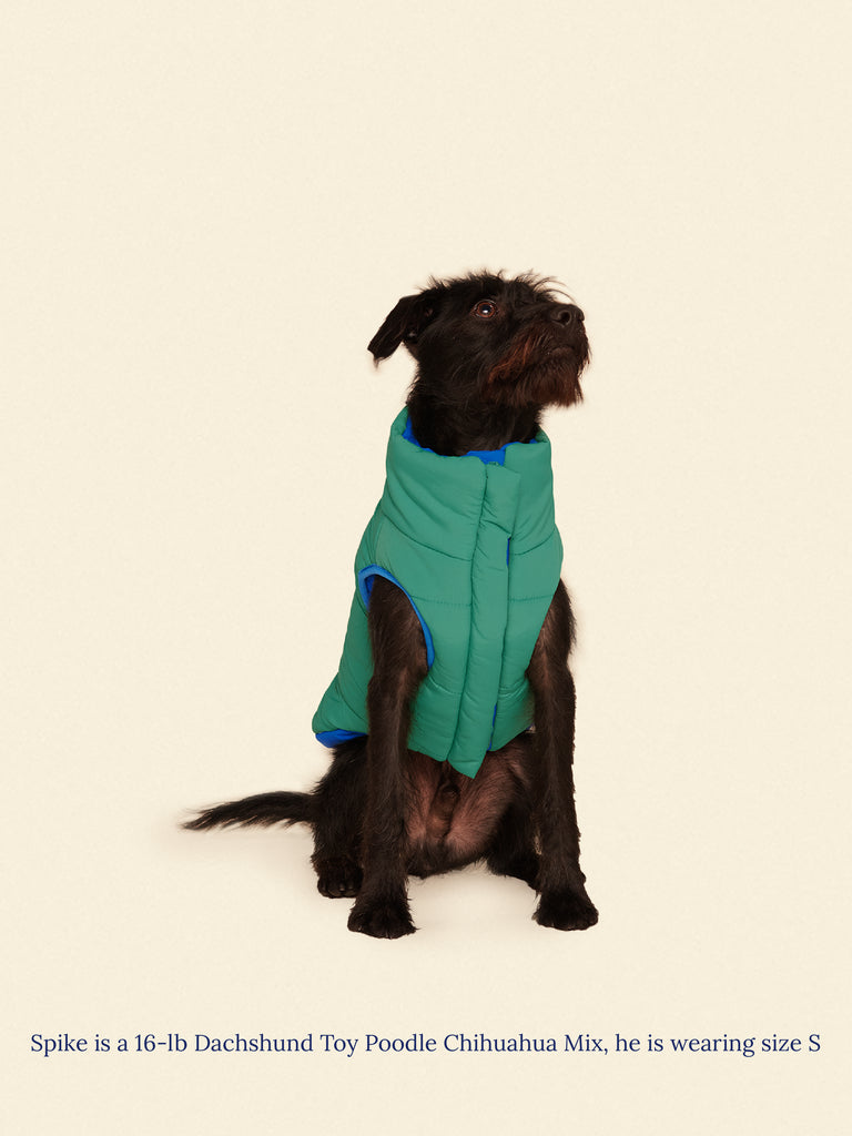 Little Beast Dog Parka The Super Duper Puffer Jacket - Green & Blue