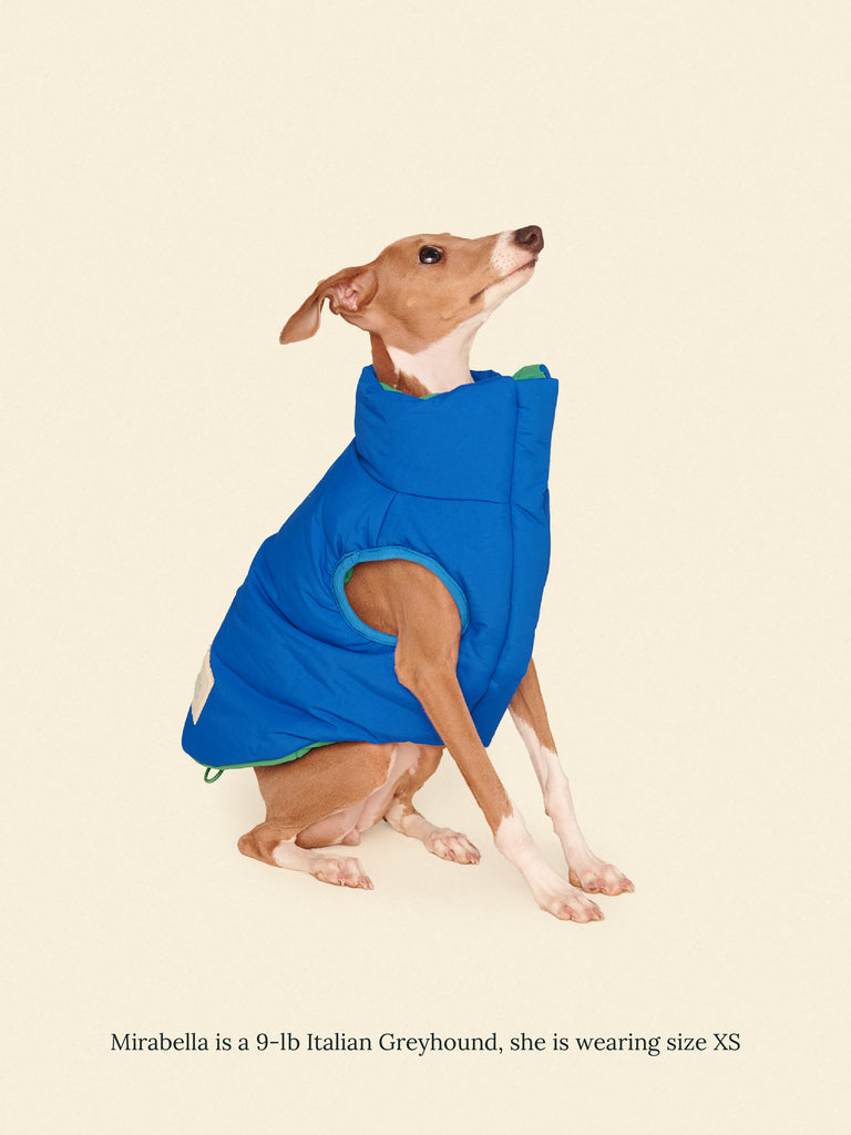 Little Beast Dog Parka The Super Duper Puffer Jacket - Green & Blue