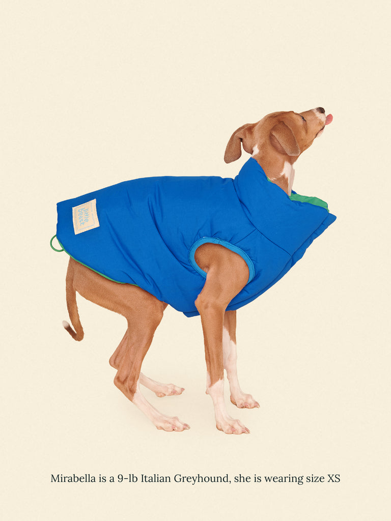 Little Beast Dog Parka The Super Duper Puffer Jacket - Green & Blue