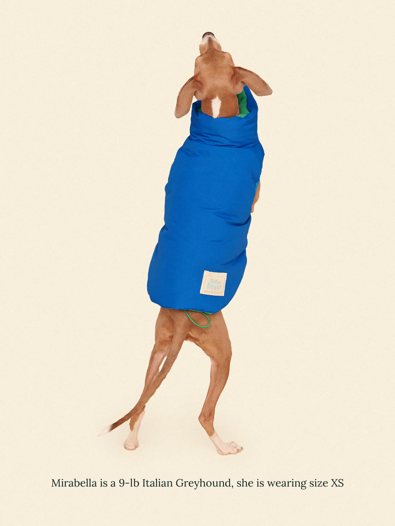 Little Beast Dog Parka The Super Duper Puffer Jacket - Green & Blue