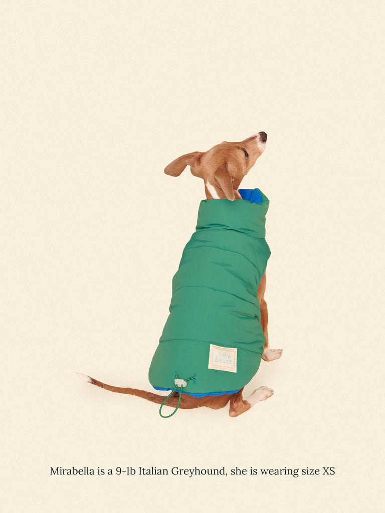 Little Beast Dog Parka The Super Duper Puffer Jacket - Green & Blue