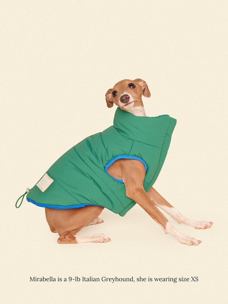 Little Beast Dog Parka The Super Duper Puffer Jacket - Green & Blue