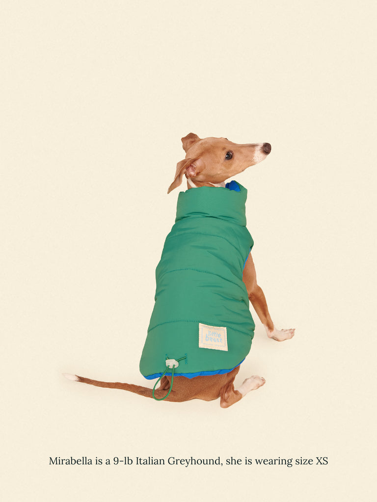 Little Beast Dog Parka The Super Duper Puffer Jacket - Green & Blue