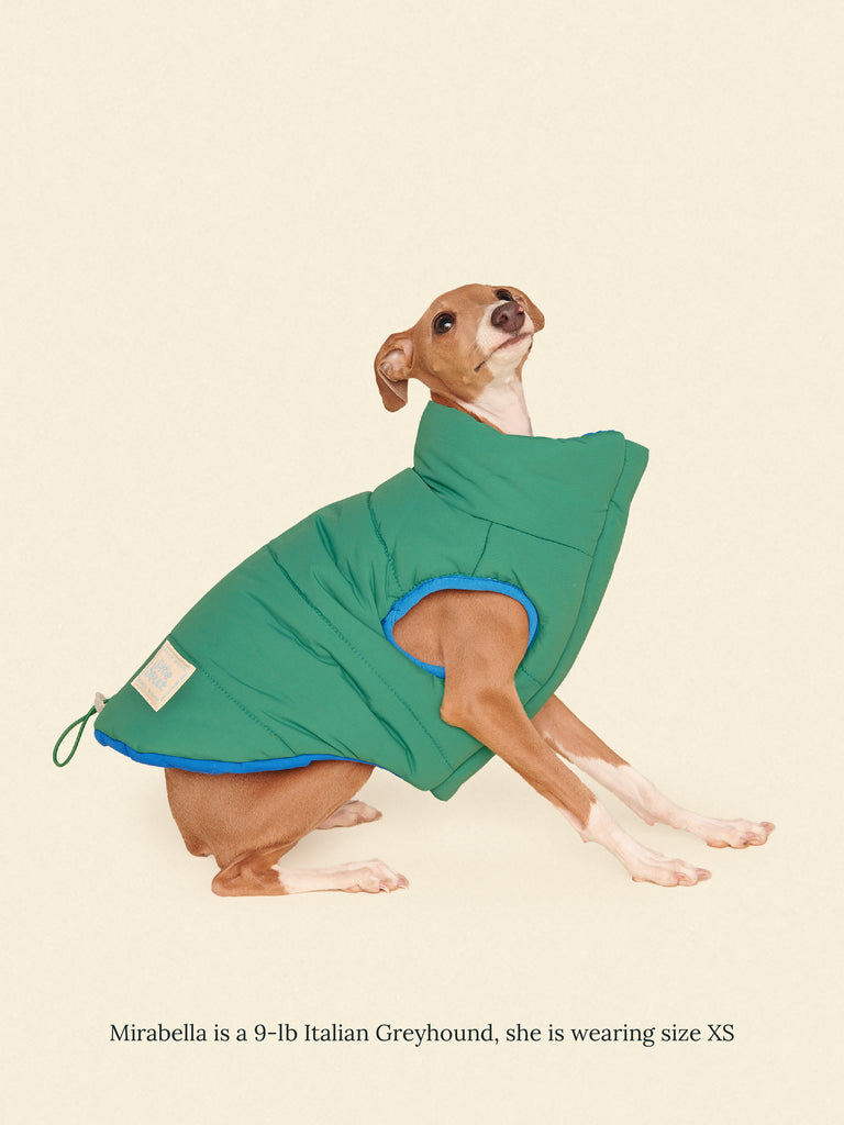 Little Beast Dog Parka The Super Duper Puffer Jacket - Green & Blue
