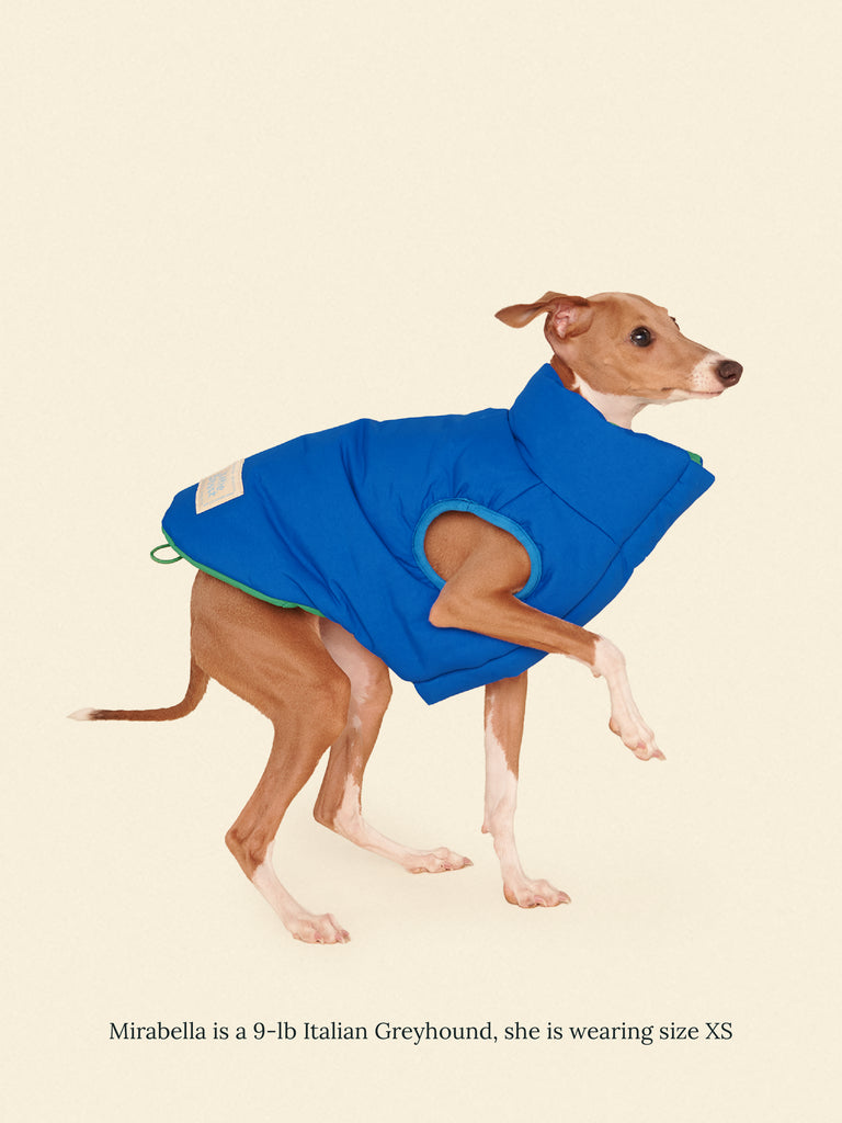 Little Beast Dog Parka The Super Duper Puffer Jacket - Green & Blue