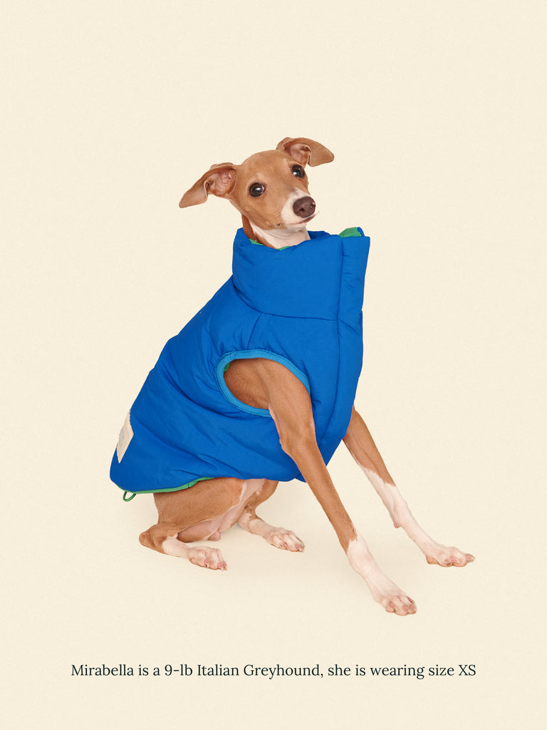 Little Beast Dog Parka The Super Duper Puffer Jacket - Green & Blue