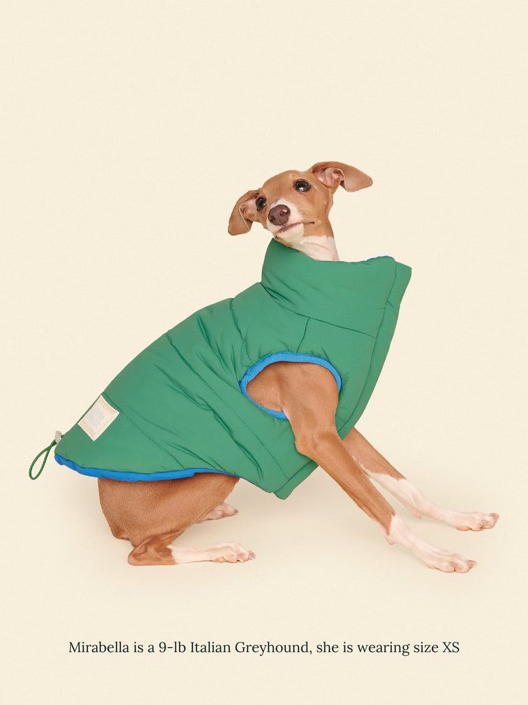 Little Beast Dog Parka The Super Duper Puffer Jacket - Green & Blue