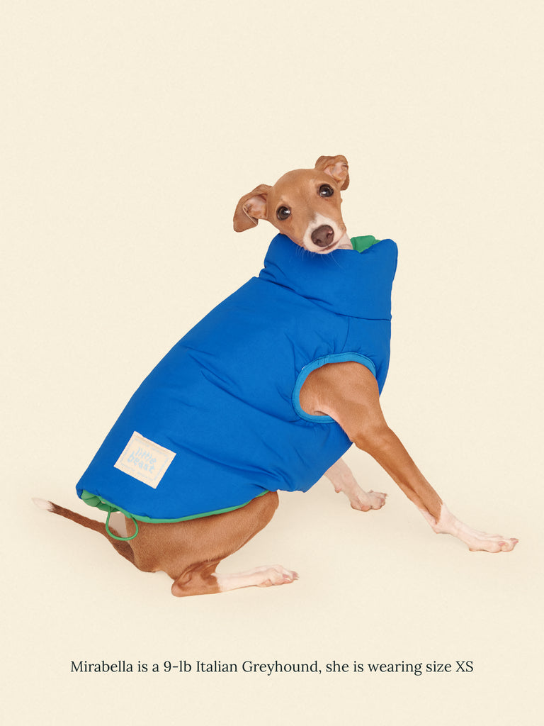 Little Beast Dog Parka The Super Duper Puffer Jacket - Green & Blue