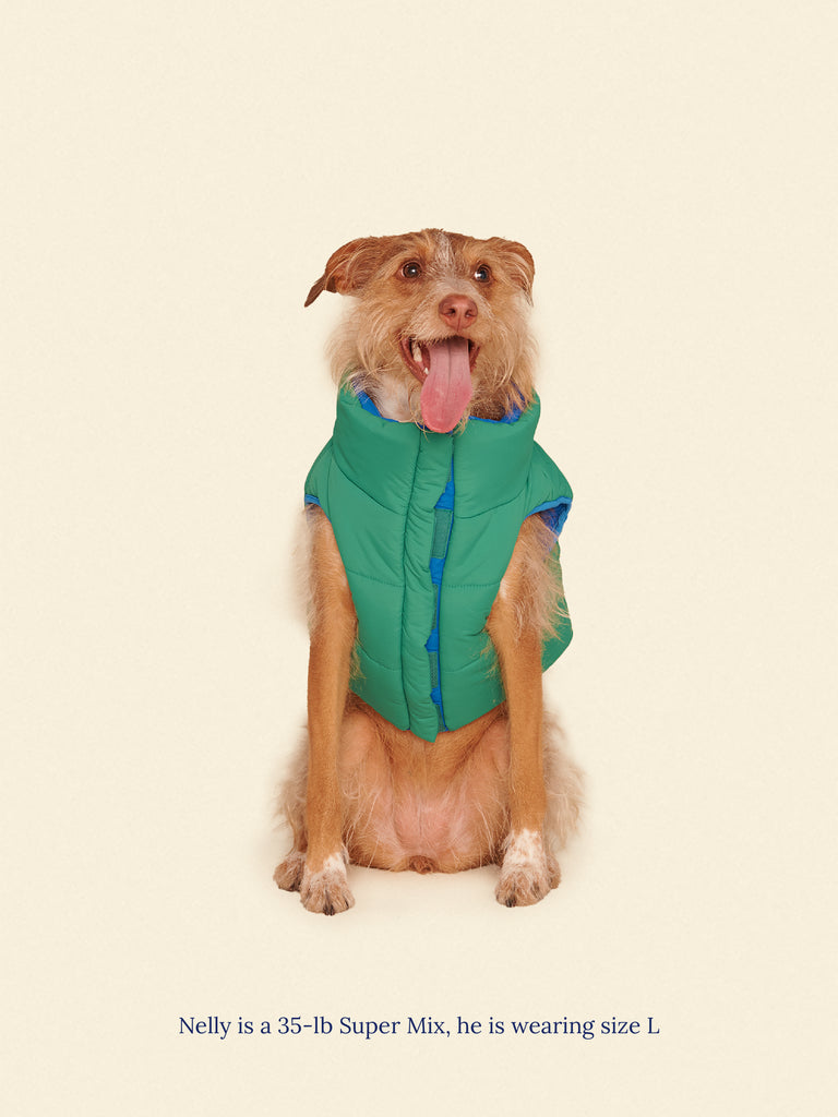 Little Beast Dog Parka The Super Duper Puffer Jacket - Green & Blue