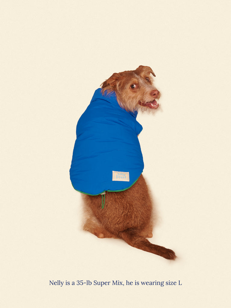 Little Beast Dog Parka The Super Duper Puffer Jacket - Green & Blue