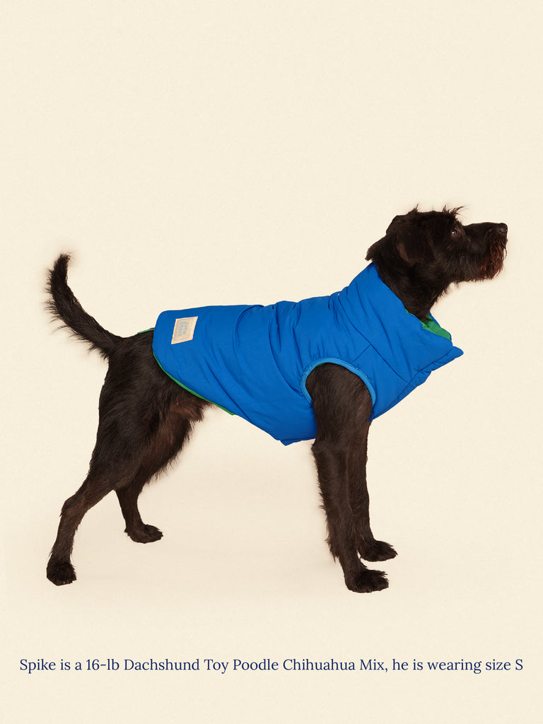 Little Beast Dog Parka The Super Duper Puffer Jacket - Green & Blue