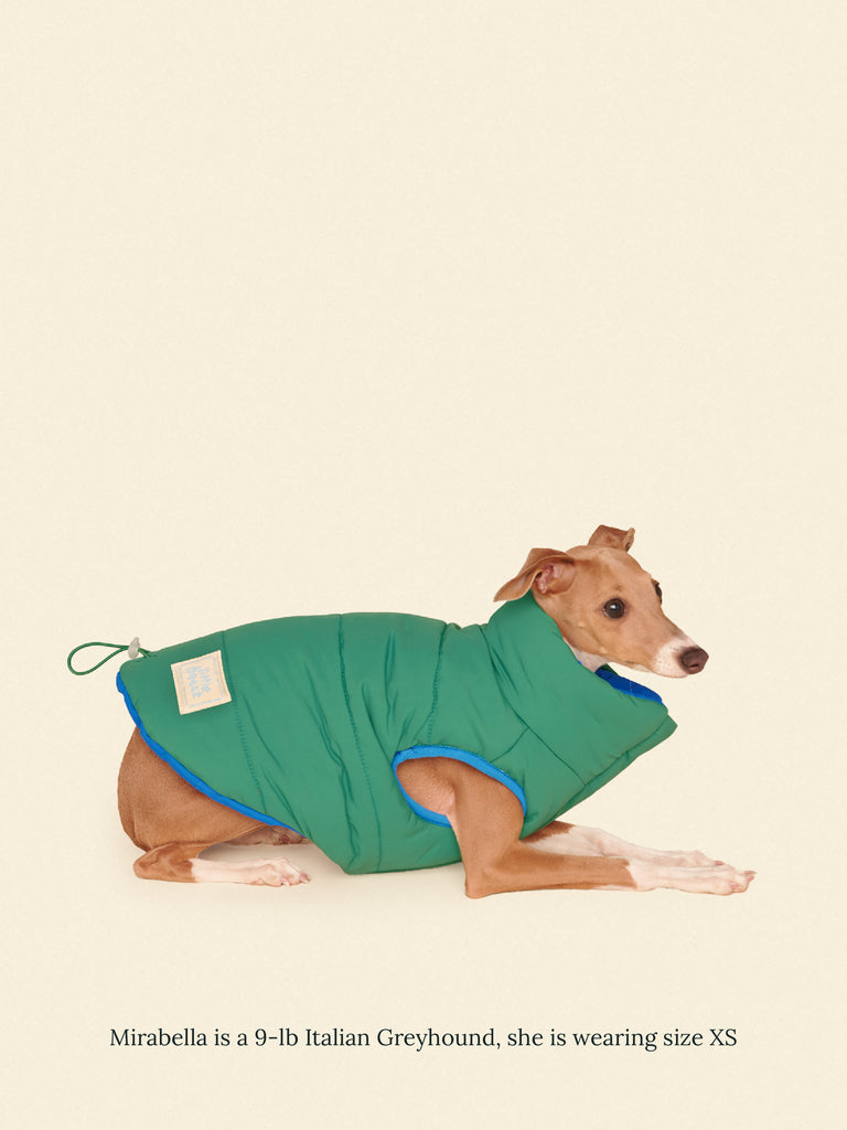 Little Beast Dog Parka The Super Duper Puffer Jacket - Green & Blue