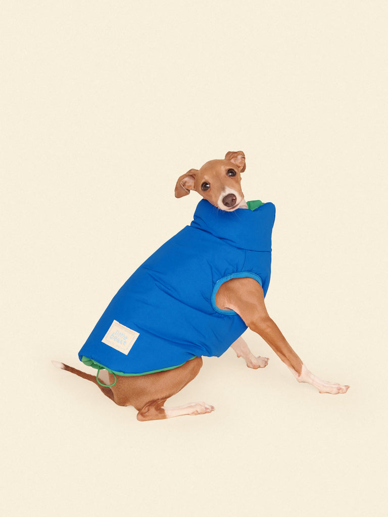 Little Beast Dog Parka The Super Duper Puffer Jacket - Green & Blue