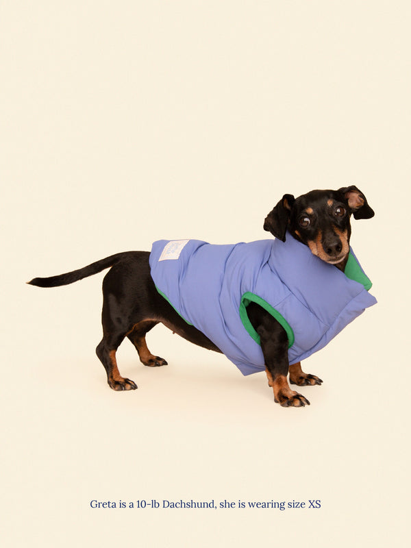 Little Beast Dog Parka The Super Duper Reversible Parka Vest - Green & Blue