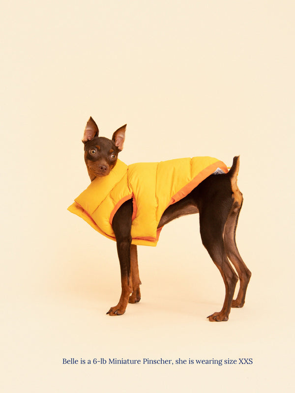 Little Beast Dog Parka The Super Duper Reversible Parka Vest - Light Orange & Orange