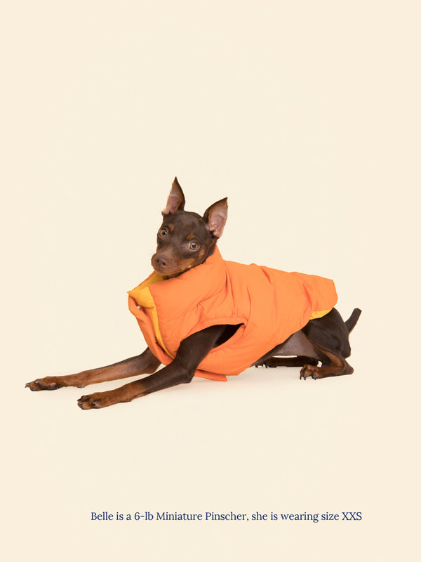 Little Beast Dog Parka The Super Duper Reversible Parka Vest - Light Orange & Orange