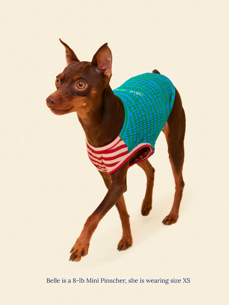 Little Beast Dog Sleeveless Shirt This or That Sleeveless Shirt