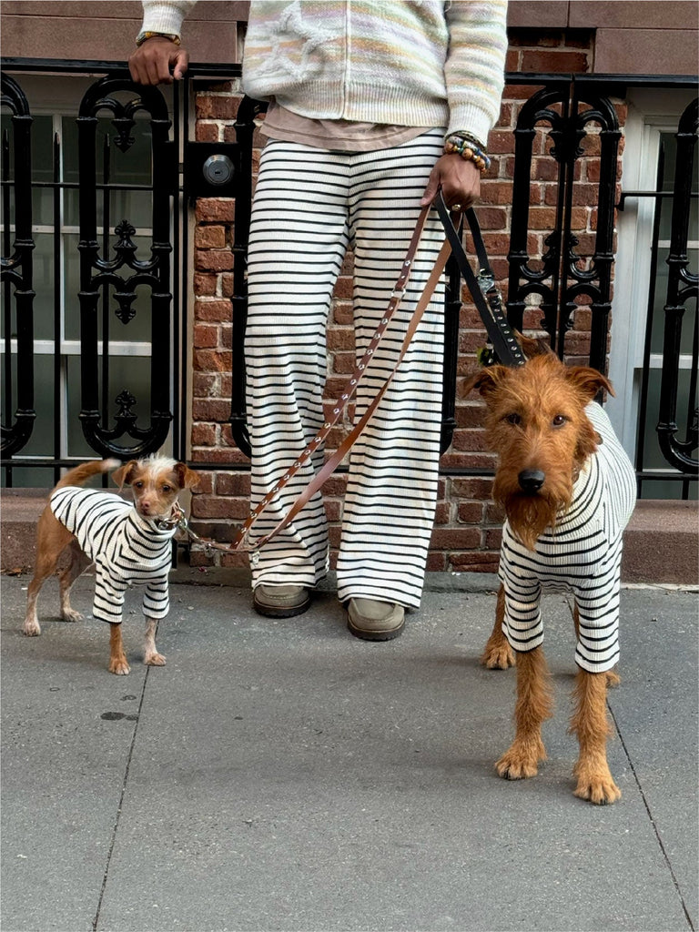 Little Beast Stripe Pants World's Your Oyster Lounge Pants