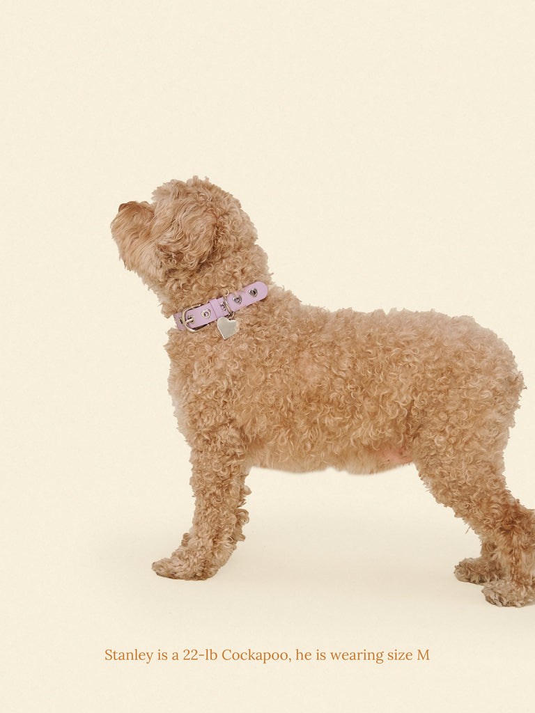 Little Beast Dog Collar You Mean The World To Me Collar - Lilac