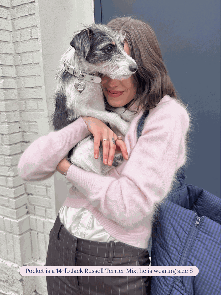 Little Beast Dog Collar You Mean The World To Me Collar - Silver