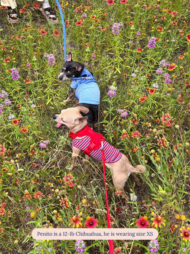 littlebeastus Dog Tank Top BFF Tank Top