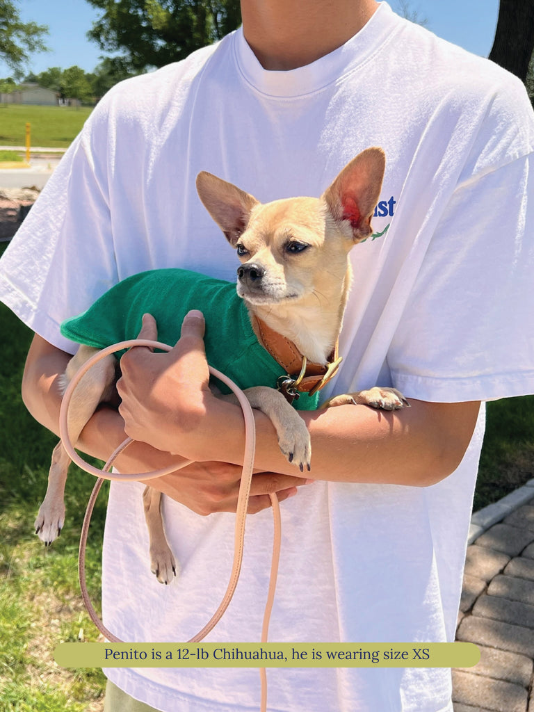 littlebeastus Dog Tank Top Hot Girl Summer Tank Top - Green