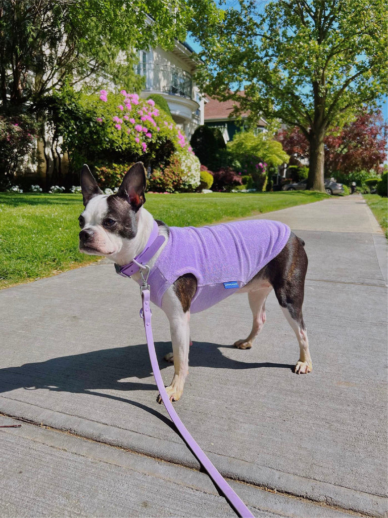 littlebeastus Dog Tank Top Hot Girl Summer Tank Top - Purple