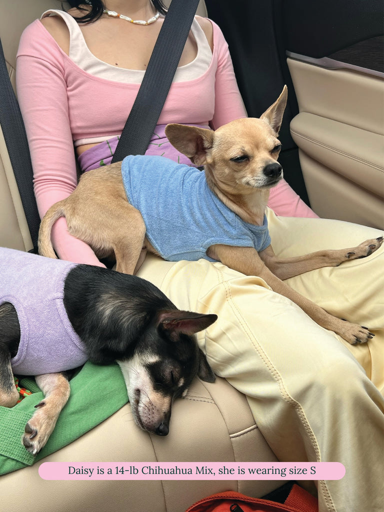 Chihuahua Doggie Tank Top Chihuahua Doggie Tank Top
