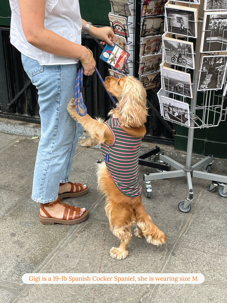 littlebeastus Dog Tank Top Jalapeño Tank Top