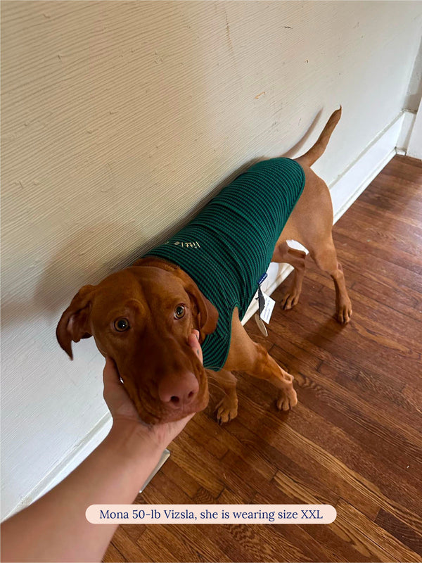 littlebeastus Dog Shirt Rugby Sleeveless Shirt