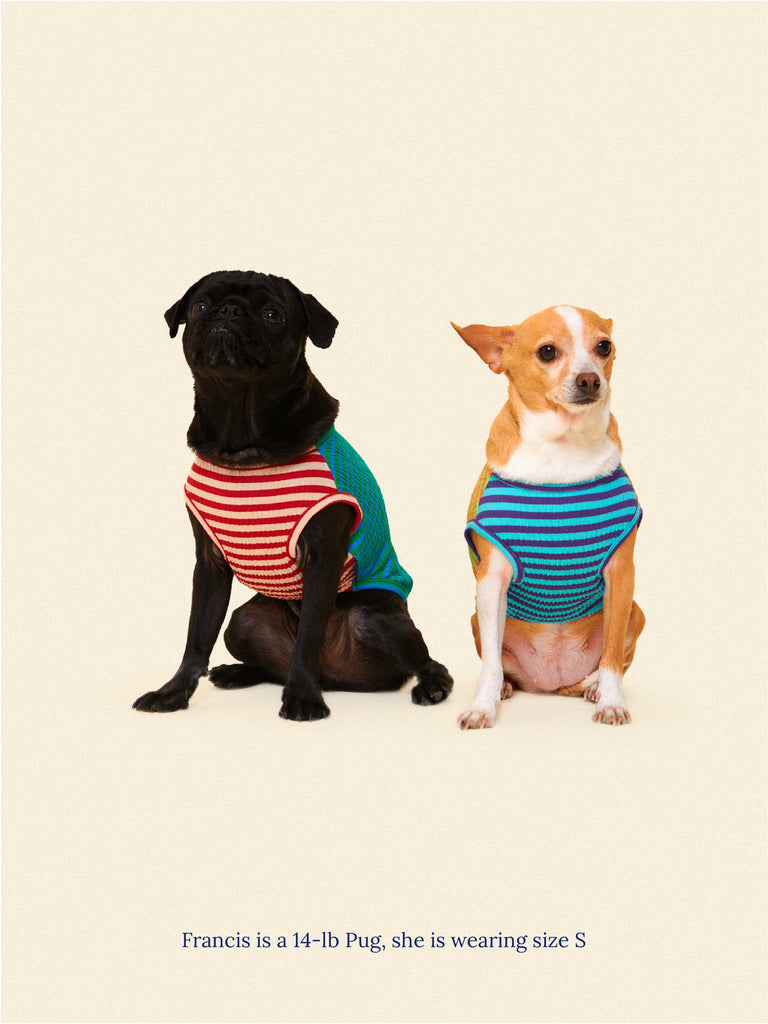 littlebeastus Dog Tank Top THIS OR THAT TANK TOP
