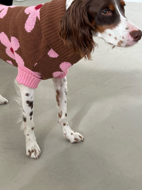 Little Beast Dog Sweater ABK (Always Be Kind) Sweater