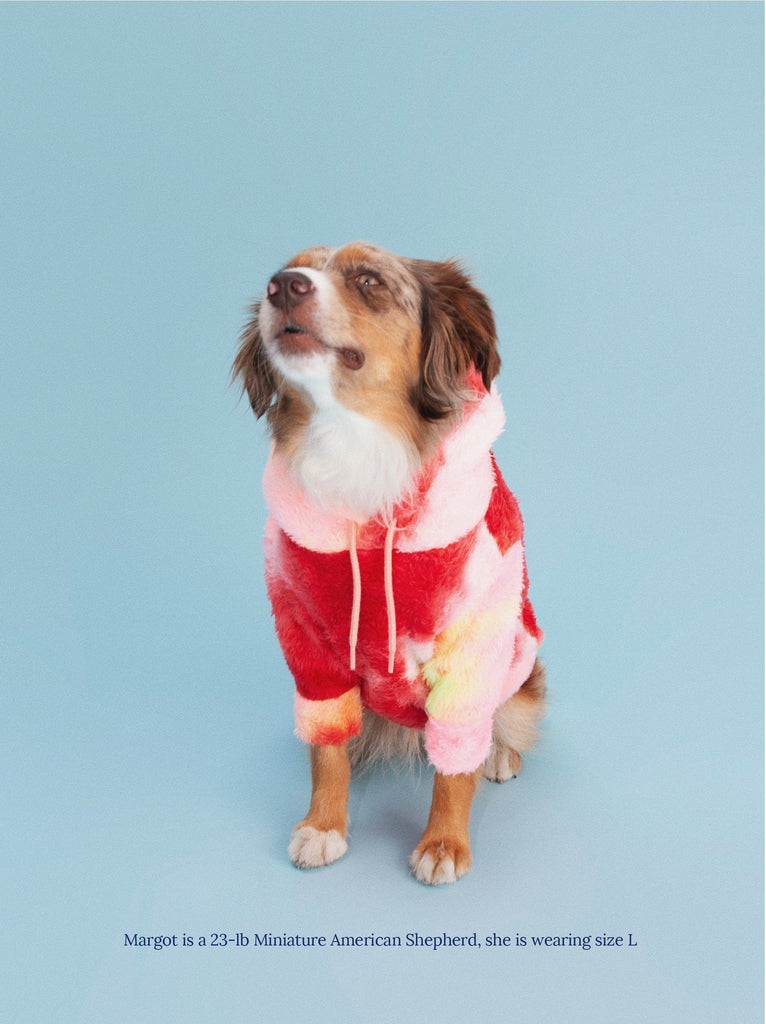 Little Beast Dog Hoodie AC/DC Fleece Hoodie