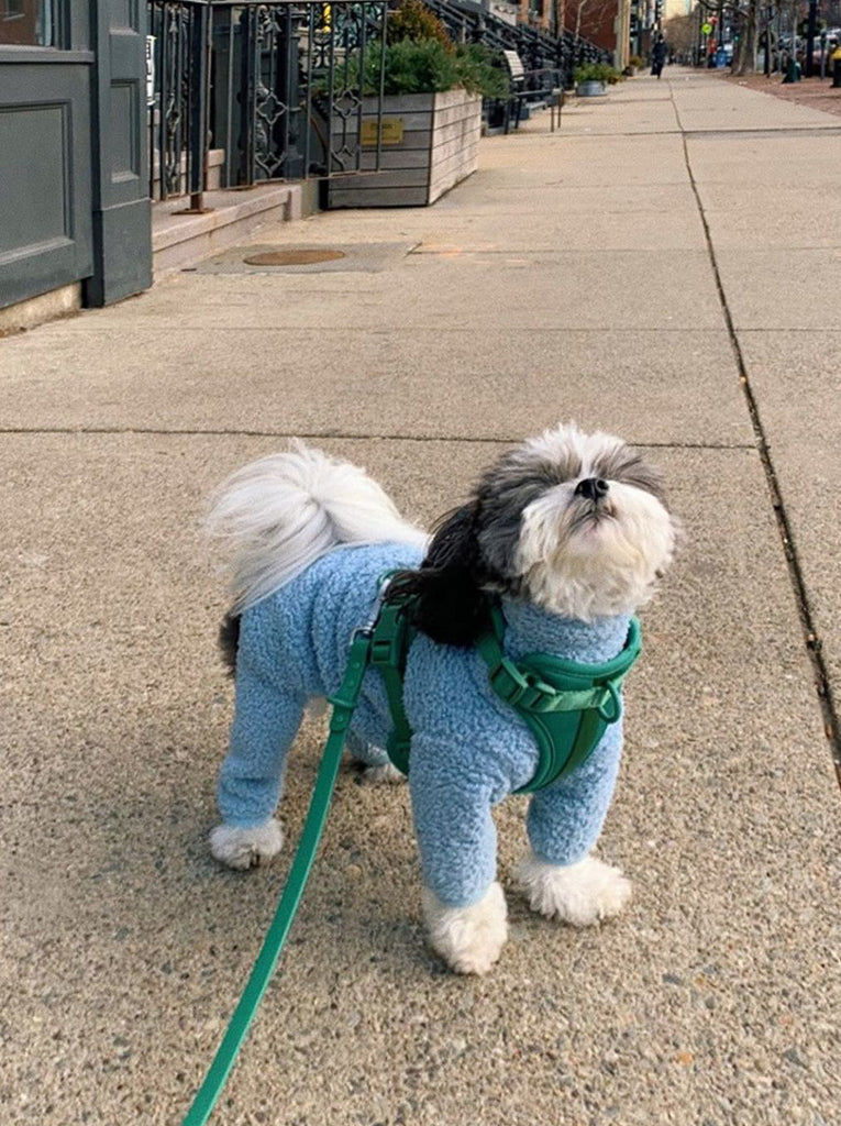Little Beast Dog Onesie Cloud Nine Fleece Onesie