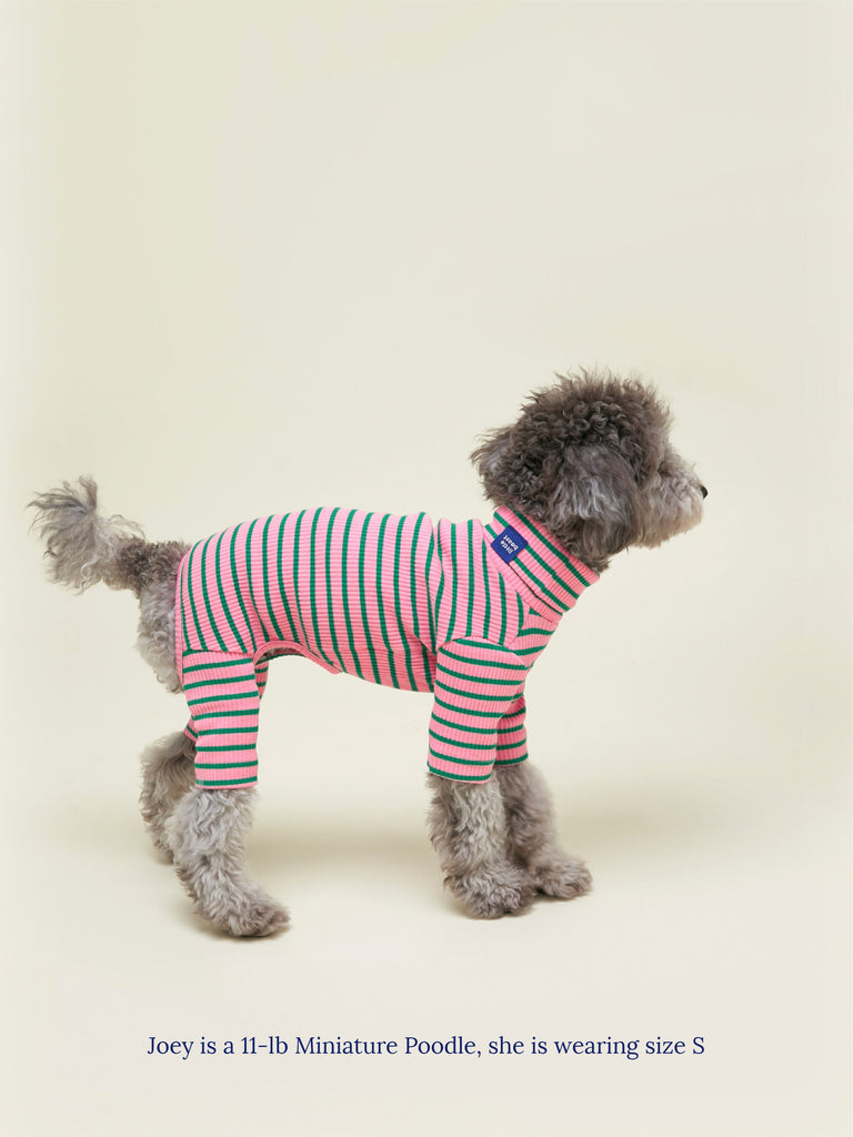 Little Beast Dog Onesie College Dropout Onesie