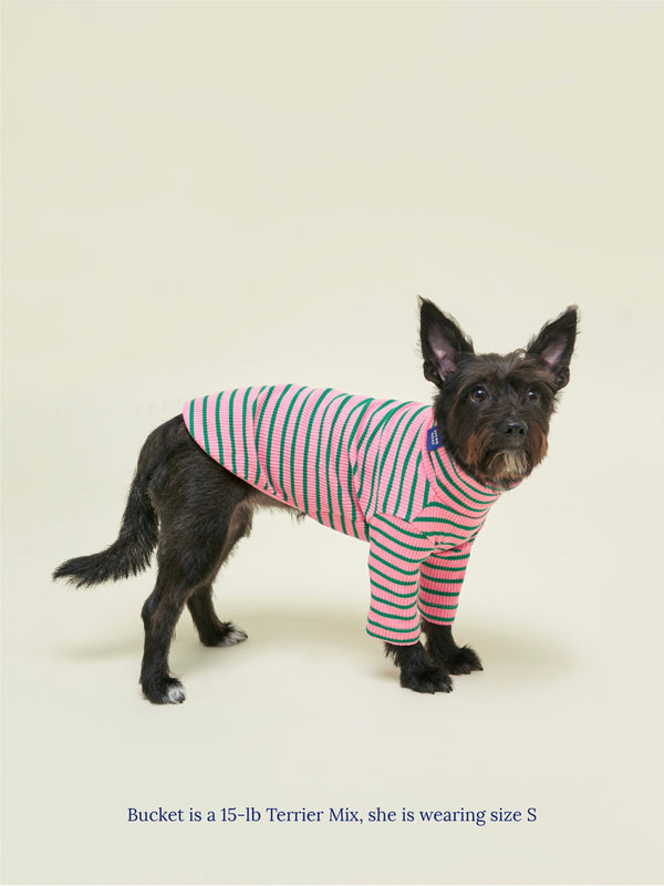 Little Beast Dog Sweatshirt College Dropout Sweatshirt