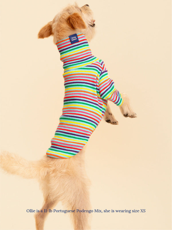Little Beast Dog Sweatshirt Fabulous Sweatshirt