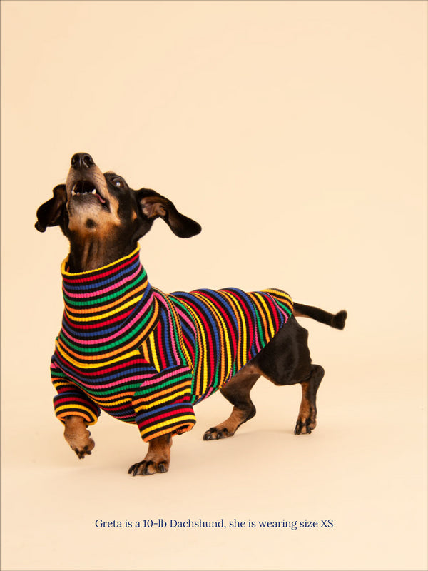 Little Beast Dog Sweatshirt Fantastic Sweatshirt