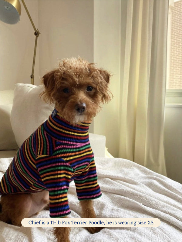 Little Beast Dog Sweatshirt Fantastic Sweatshirt