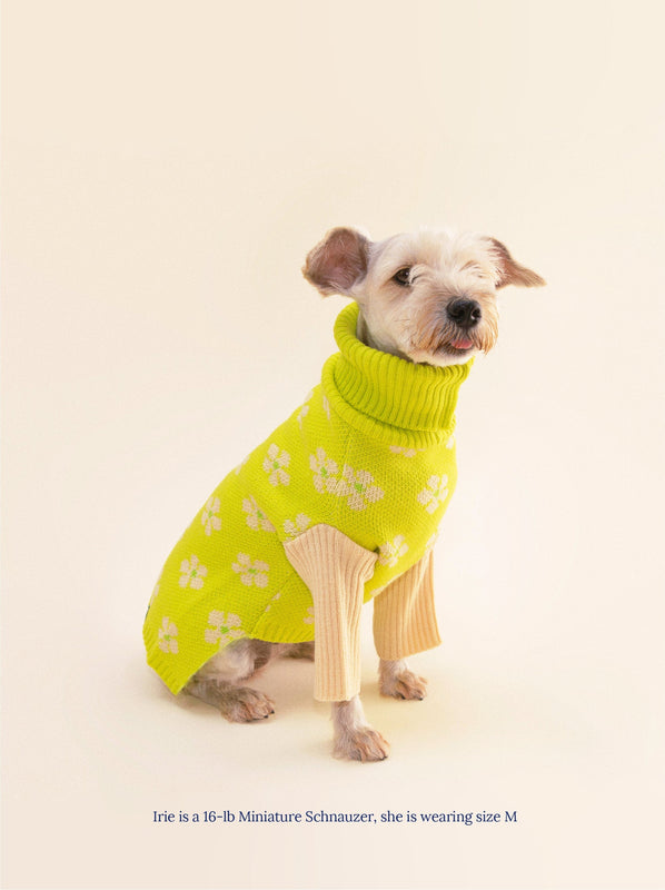 Little Beast Dog Sweater Flower Power Sweater